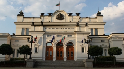Институтът на произхода и проблемите, свързани със сурогатното майчинство